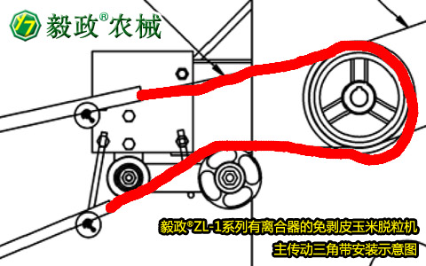 毅政牌ZL1系列有離合器的免剝皮玉米脫粒機(jī)，主傳動三角帶正確安裝